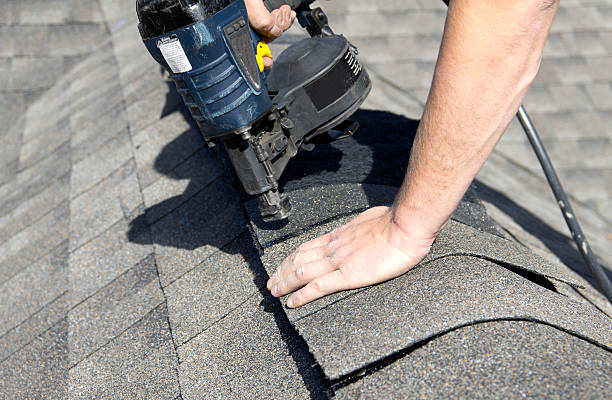 Best Solar Panel Roofing Installation  in Niles, MI